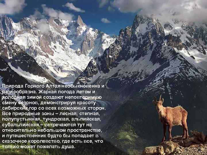 Природа Горного Алтая необыкновенна и разнообразна. Жаркая погода летом и холодная зимой создают неповторимую