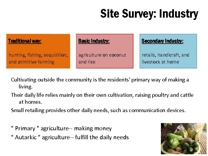 Site Survey: Industry Traditional way: Basic Industry: Secondary Industry: hunting, fishing, acquisition, and primitive