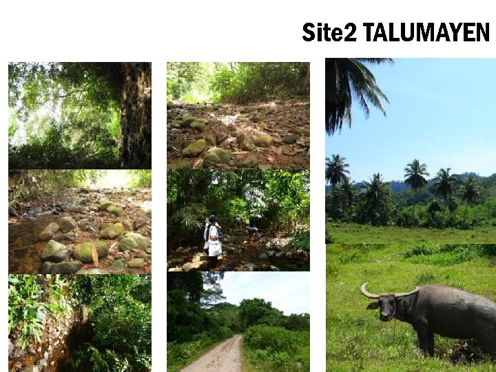 Site 2 TALUMAYEN 