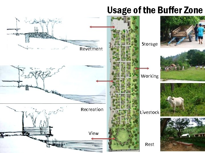 Usage of the Buffer Zone Revetment Storage Working Recreation Livestock View Rest 