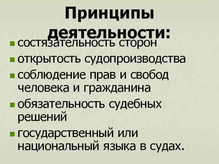 Принципы деятельности: n состязательность сторон n открытость судопроизводства n соблюдение прав и свобод человека