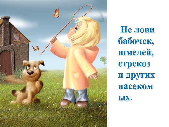 Не лови бабочек, шмелей, стрекоз и других насеком ых. ых 