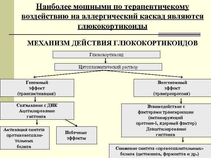 Наиболее мощными по терапевтичекому воздействию на аллергический каскад являются глюкокортикоиды МЕХАНИЗМ ДЕЙСТВИЯ ГЛЮКОКОРТИКОИДОВ Глюкокортикоид