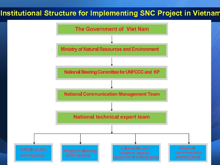 Institutional Structure for Implementing SNC Project in Vietnam 