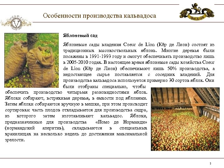 Особенности производства кальвадоса Яблоневый сад Яблоневые сады владения Coeur de Lion (Кёр де Лион)