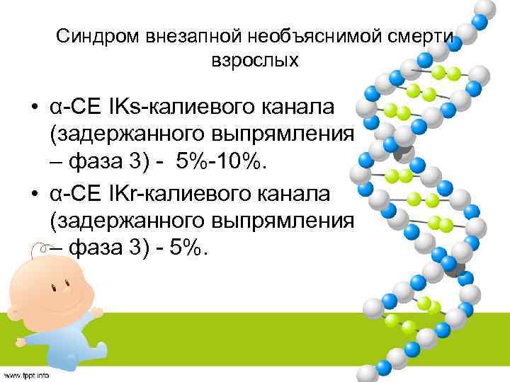 Синдром внезапной необъяснимой смерти взрослых • α-CЕ IKs-калиевого канала (задержанного выпрямления – фаза 3)