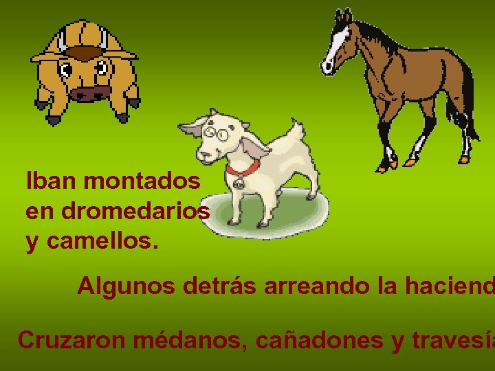 Iban montados en dromedarios y camellos. Algunos detrás arreando la haciend Cruzaron médanos, cañadones