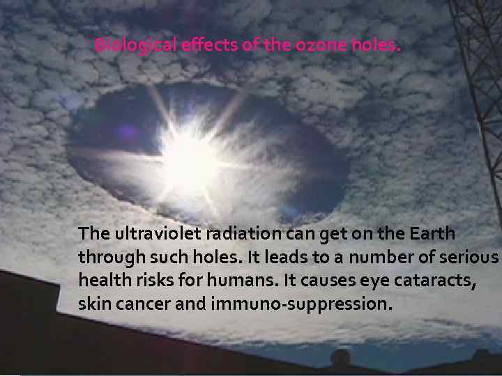 Biological effects of the ozone holes. The ultraviolet radiation can get on the Earth