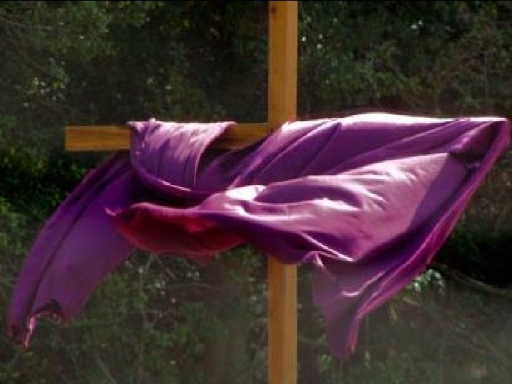 Jesus, no deserto era guiado pelo Espírito e foi tentado. 14 de fevereiro de