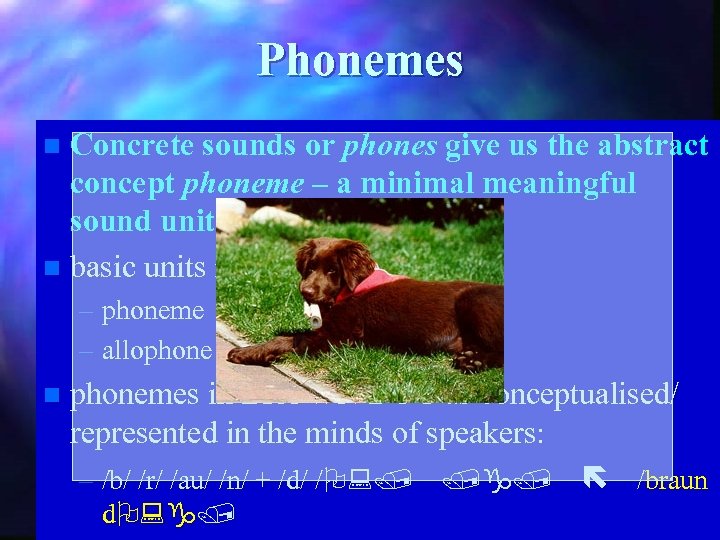 Phonemes Concrete sounds or phones give us the abstract concept phoneme – a minimal