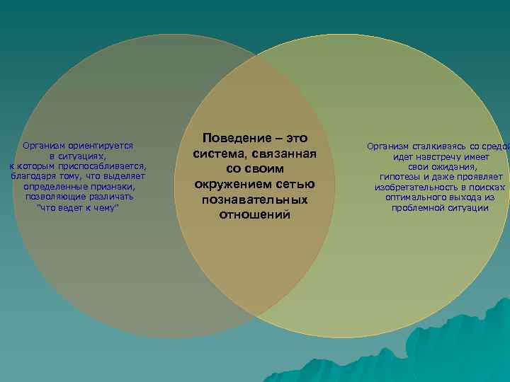 Организм ориентируется в ситуациях, к которым приспосабливается, благодаря тому, что выделяет определенные признаки, позволяющие