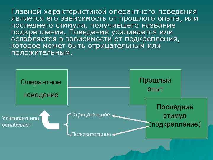 Главной характеристикой оперантного поведения является его зависимость от прошлого опыта, или последнего стимула, получившего