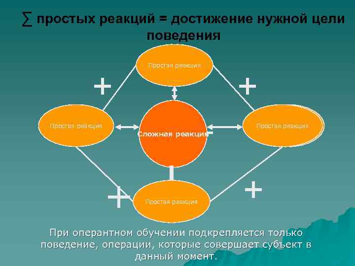 ∑ простых реакций = достижение нужной цели поведения + Простая реакция Сложная реакция +