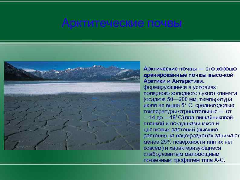 Почвы арктических пустынь в евразии. Тип почв арктических пустынь. Арктические пустыни России почвы. Арктические пустыни почвы. Почва в арктических и антарктических пустынях.