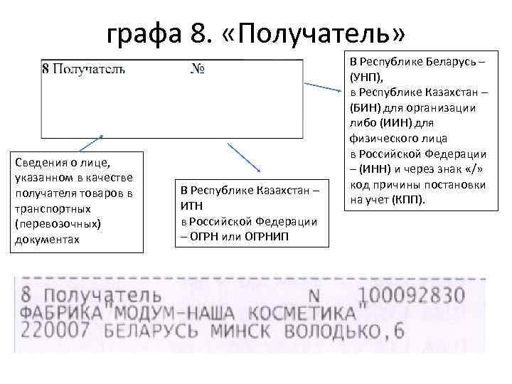 графа 8. «Получатель» Сведения о лице, указанном в качестве получателя товаров в транспортных (перевозочных)