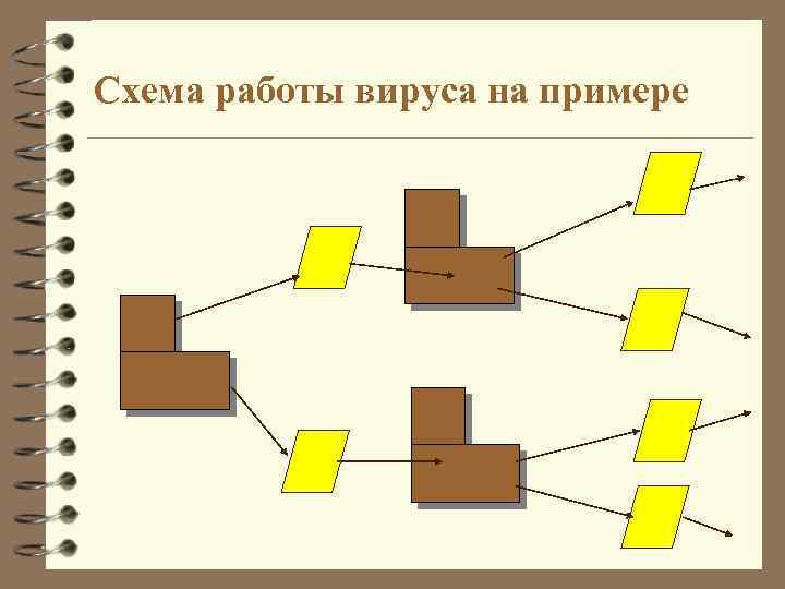 Схема работы вируса на примере 