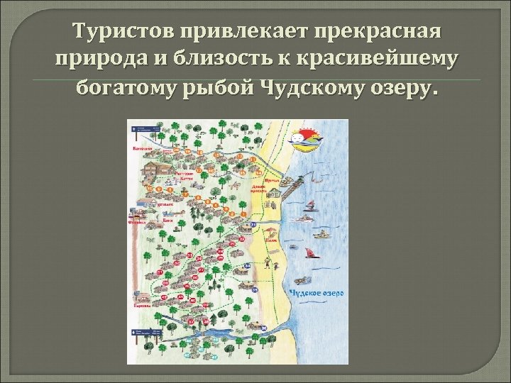 Туристов привлекает прекрасная природа и близость к красивейшему богатому рыбой Чудскому озеру. 