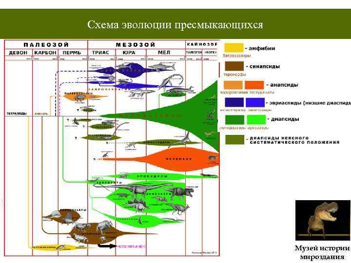 Особенности развития земноводных и пресмыкающихся. Рептилии Древо эволюции. Эволюционная схема развития пресмыкающихся. Филогения рептилий. Эволюция рептилий схема.