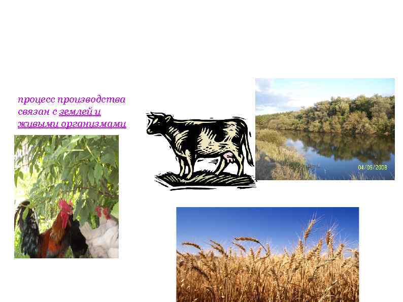 процесс производства связан с землей и живыми организмами 