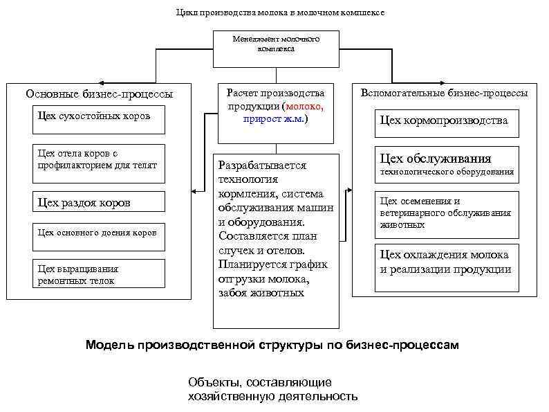 Цикл производства молока в молочном комплексе Менеджмент молочного комплекса Основные бизнес-процессы Цех сухостойных коров