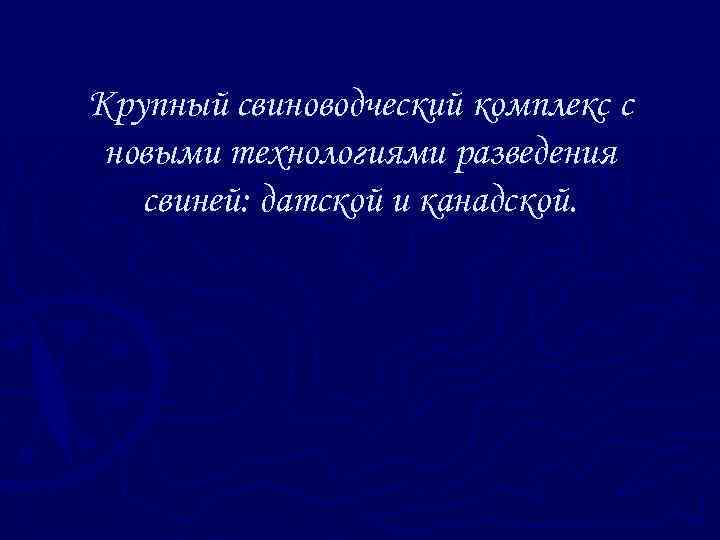 Крупный свиноводческий комплекс c новыми технологиями разведения свиней: датской и канадской. 