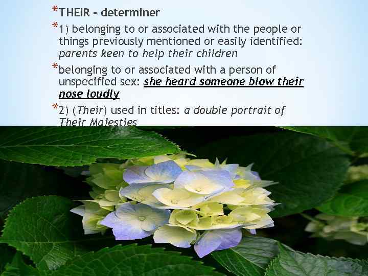 *THEIR - determiner *1) belonging to or associated with the people or things previously