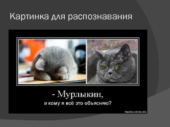 Картинка для распознавания 