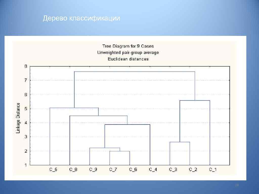 Дерево классификации фото 20 