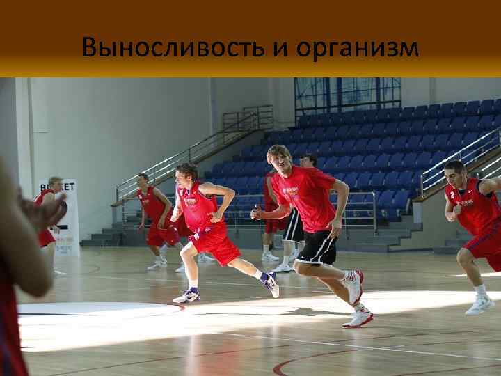 Выносливость и организм 8 