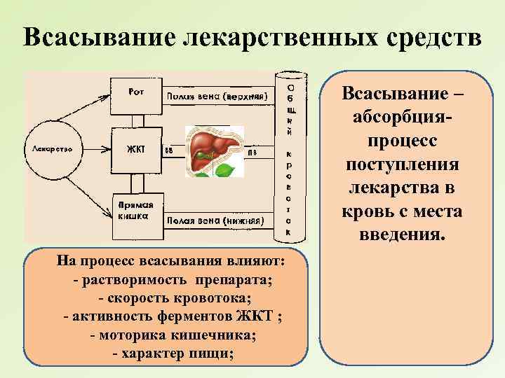 Всасывание лекарственных средств Всасывание – абсорбцияпроцесс поступления лекарства в кровь с места введения. На