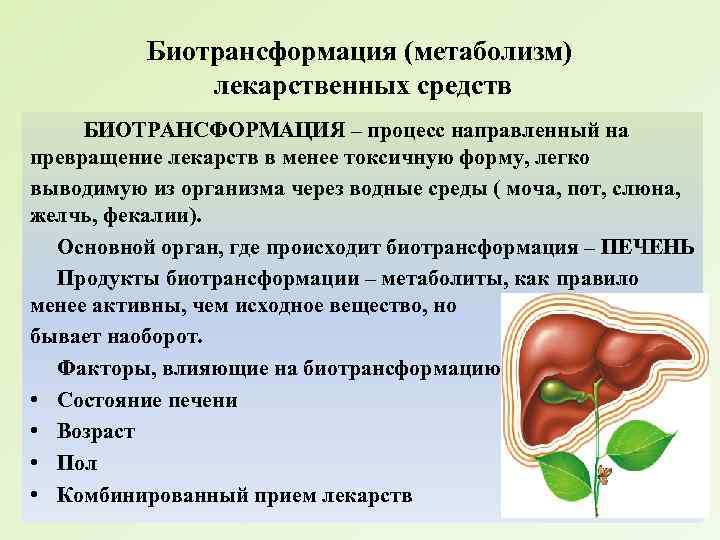 Биотрансформация (метаболизм) лекарственных средств БИОТРАНСФОРМАЦИЯ – процесс направленный на превращение лекарств в менее токсичную