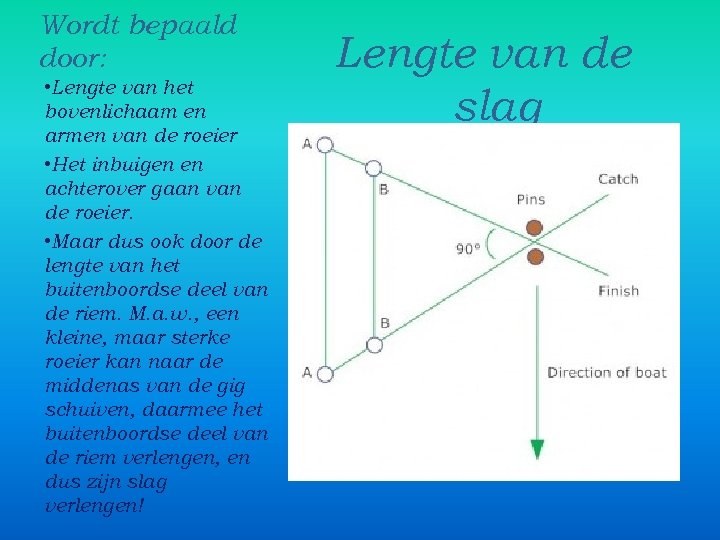 Wordt bepaald door: • Lengte van het bovenlichaam en armen van de roeier •