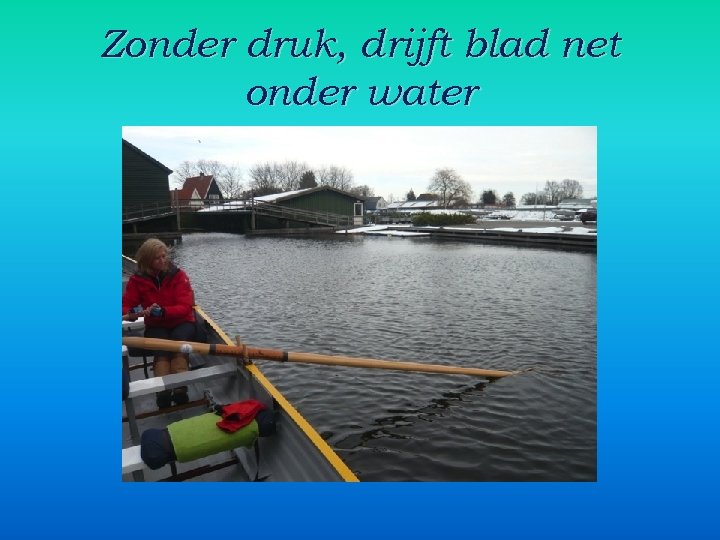 Zonder druk, drijft blad net onder water 