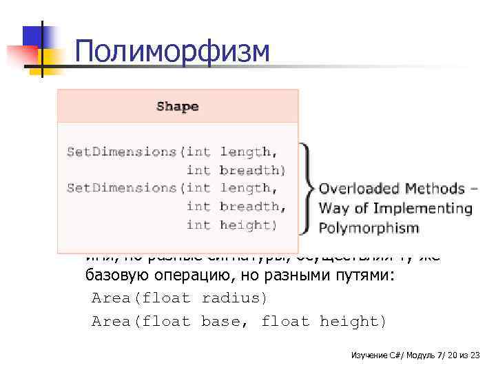 Полиморфизм n n n Полиморфизм происходит от двух греческих слов - Poly и Morphos.