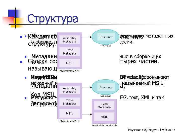 Структура n n Метаданные сборки - предопределенную Каждая сборка имеет Содержат информацию метаданных о