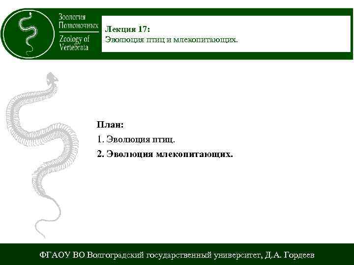 Лекция 17: Эволюция птиц и млекопитающих. План: 1. Эволюция птиц. 2. Эволюция млекопитающих. ФГАОУ