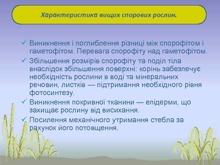 Характеристика вищих спорових рослин. ü Виникнення і поглиблення різниці між спорофітом і гаметофітом. Перевага