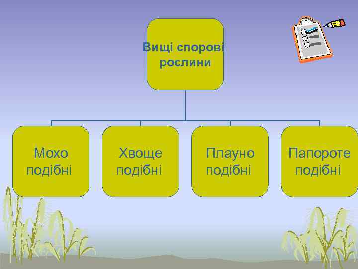Вищі спорові рослини Мохо подібні Хвоще подібні Плауно подібні Папороте подібні 