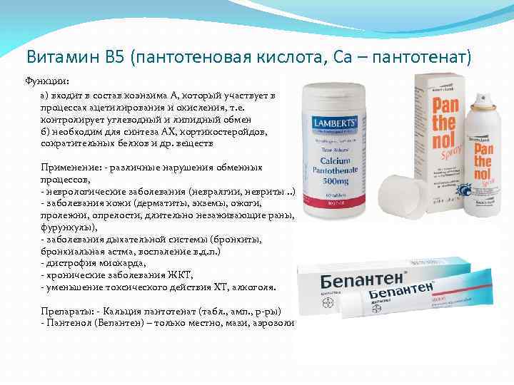 Витамин В 5 (пантотеновая кислота, Са – пантотенат) Функции: а) входит в состав коэнзима