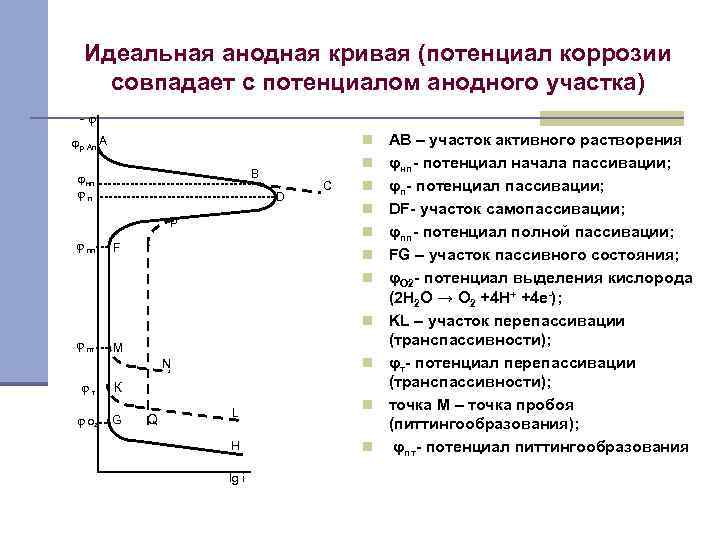 Идеальная анодная кривая (потенциал коррозии совпадает с потенциалом анодного участка) -φ n φр An