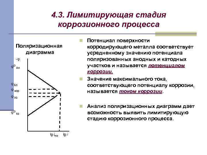 4. 3. Лимитирующая стадия коррозионного процесса n Потенциал поверхности Поляризационная диаграмма корродирующего металла соответствует