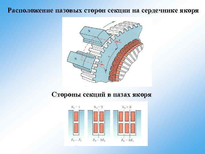 Расположение пазовых сторон секции на сердечнике якоря Стороны секций в пазах якоря 