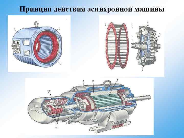 Принцип действия асинхронной машины 