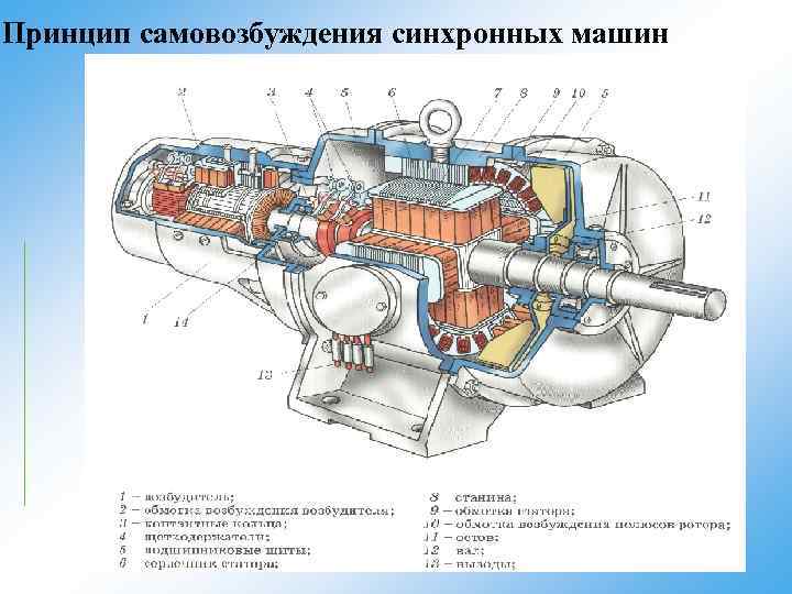 Возбудитель синхронной машины на рисунке