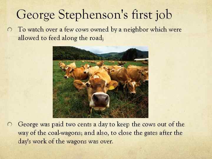 George Stephenson's first job To watch over a few cows owned by a neighbor