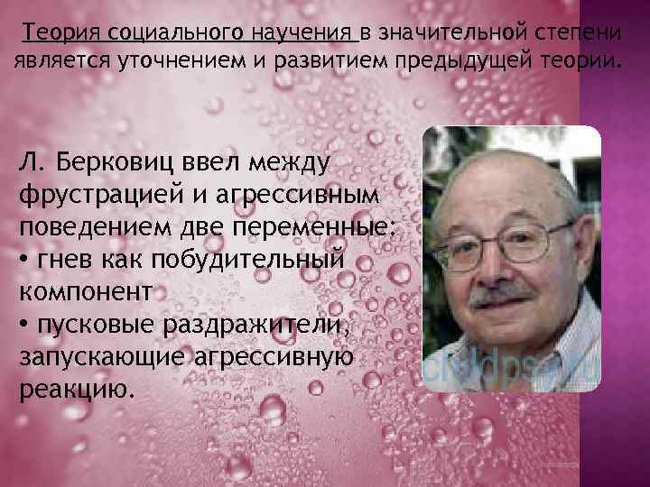 Теория социального научения в значительной степени является уточнением и развитием предыдущей теории. Л. Берковиц