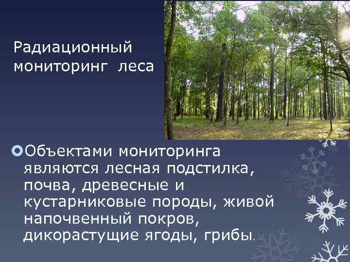 Радиационный мониторинг леса Объектами мониторинга являются лесная подстилка, почва, древесные и кустарниковые породы, живой