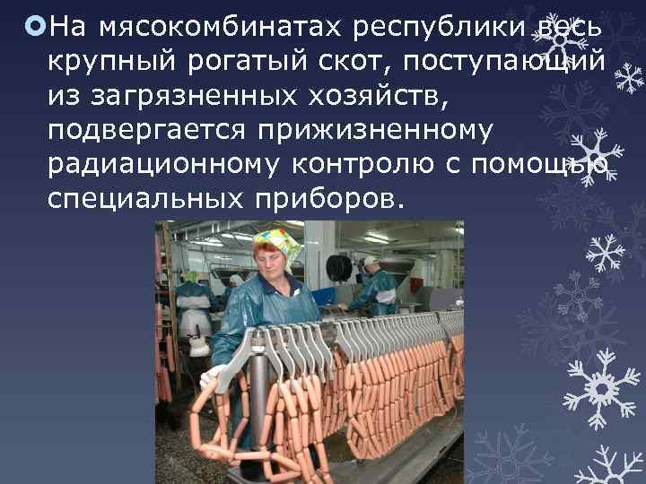  На мясокомбинатах республики весь крупный рогатый скот, поступающий из загрязненных хозяйств, подвергается прижизненному