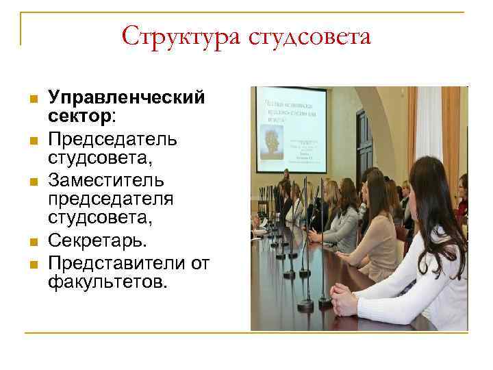Структура студсовета n n n Управленческий сектор: Председатель студсовета, Заместитель председателя студсовета, Секретарь. Представители