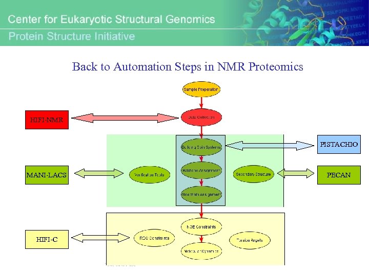 Back to Automation Steps in NMR Proteomics HIFI-NMR PISTACHIO MANI-LACS HIFI-C PECAN 